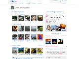 Welcome to Flickr!